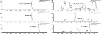 Urinary 8-oxo-7,8-dihydroguanosine as a Potential Biomarker of Aging